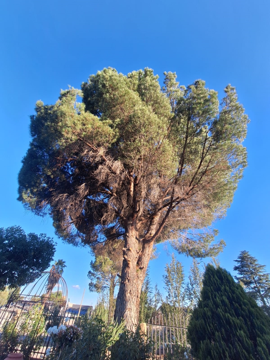 4 Bedroom Property for Sale in Senekal Free State